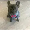 Dylan Bourne - @dylan.bourne78 - TikTok