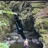 dylanbowles4 - @dylanbowles4 - TikTok