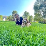 Dylan Braun - @dylb337 - Instagram