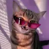 Dylan - @dylanbraun41 - TikTok