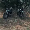 Dylan Brown - @dylanbrown551 - TikTok