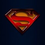 Dylan Bukowski - @dylanbuk2003 - Instagram