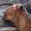 Dylan Burkey - @_dylan.burkey - TikTok