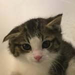 Dylan - @dylan.burnette_537 - Instagram