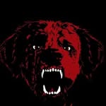 Dylan Burwell - @that_kid_dylan05 - Instagram
