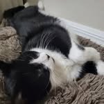 Dylan Douglas Burwell - @dylan.burwel - Instagram