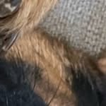@notdylanbushman69420 - Instagram