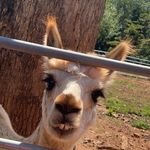 Dylan Byrd - @dylan.byrd10 - Instagram