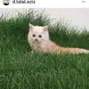 dylan0byrnes - @dylan0byrnes - TikTok