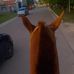 Dylan Calabretta - Facebook