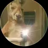 Dylan - @dylancalderon858 - TikTok