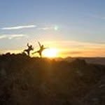 Dylan Caldwell - @_dyll.caldwell - Instagram