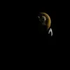 Dylan Caldwell - @dylan.caldwell78 - TikTok
