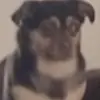 Dylan - @dylan.caldwelll - TikTok