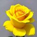 Dylan Call - Facebook