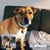 Dylan Canavan - Facebook
