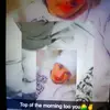 dylancandelario52 - @dylancandelario52 - TikTok