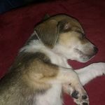 dylan capps - @dylancapps123456789 - Instagram