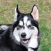 Dylan Caraway - Facebook