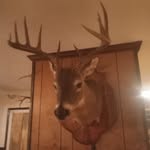 dylan caraway - @forgottenguy93 - Instagram