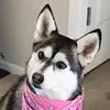 dylancaraway - @dylan.caraway - TikTok