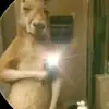 Dylan Cardona - @dylan.cardona38 - TikTok
