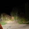 Dylan Carley - @dylan.carley - TikTok
