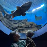 Dylan Carney - @dylan_carney_ - Instagram
