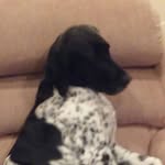 Dylan Caron - @dylancaron3243 - Instagram
