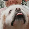 Dylan Caron - @dylan.caron1 - TikTok