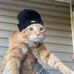Dylan Carson - @woahitsdyl11 - Instagram
