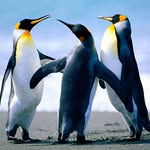 Dylan Carson - @dylancarson8096 - Instagram