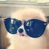 Dylan Cartwright - @dylan_cartwright__ - TikTok