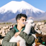 Dylan - @dylan_carvalho_ - Instagram