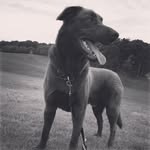 Dylancassells - @dylancassells__2002 - Instagram