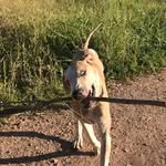 Dylan - @dylan_cates5142 - Instagram
