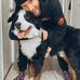 Dylan Caulfield - Facebook