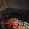 Dylan Cavanaugh488 - @dylancavanaugh488 - TikTok