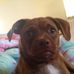 Dylan Cavanaugh - Facebook