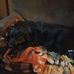 Dylan Cavanaugh - Facebook