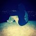 Dylan Cavanaugh - Facebook