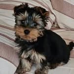Dylan Maréchal - @dylan.cecile.marechal - Instagram