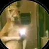 dylancenteno883 - @dylancenteno883 - TikTok