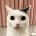 Dylan Chang - Facebook