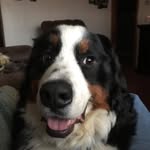 Dylan Childers - @dylan.childers.7161 - Instagram