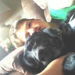 dylan childers - @childersdylan3 - Instagram