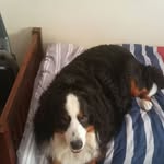 Dylan Childers - @dylan.childers.5891 - Instagram