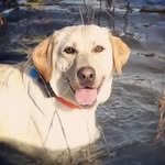 Dylan Childress - @dylanchildress60 - Instagram