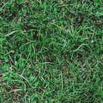 Dylan Choates - @dylanchoates587 - Instagram