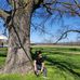 Dylan Chong - Facebook